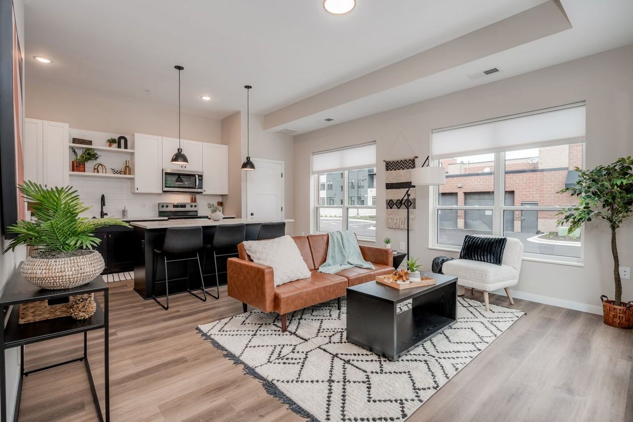 Ovation - Photo 7 of 50