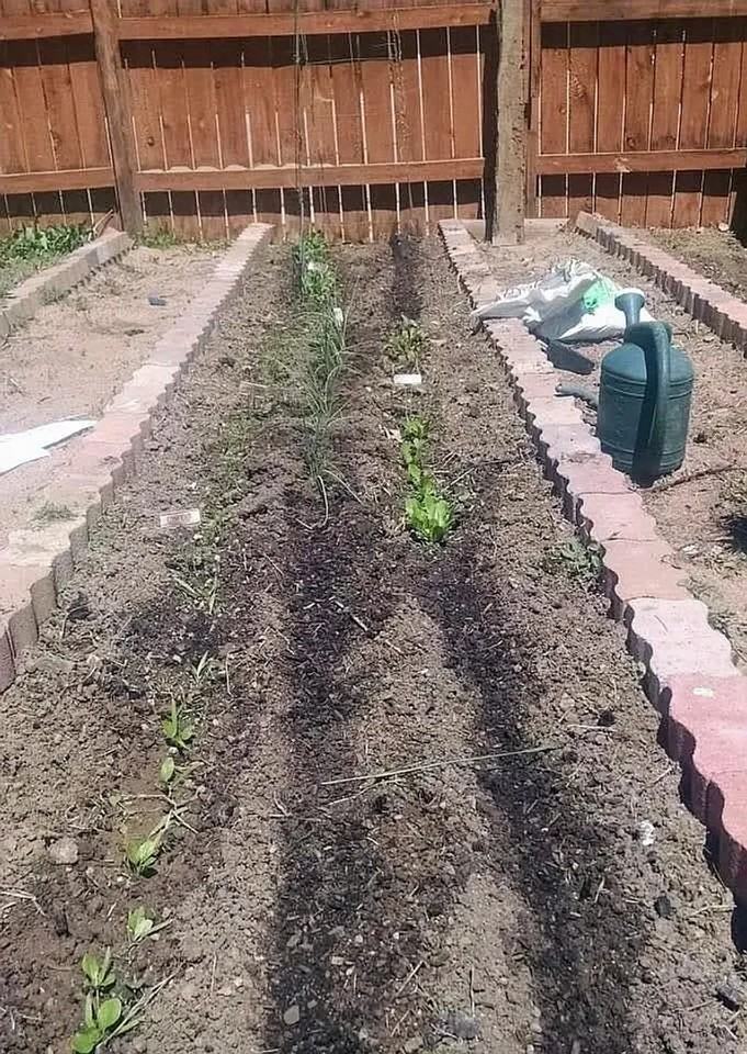 3401 Stratton Dr - Photo 7 of 15