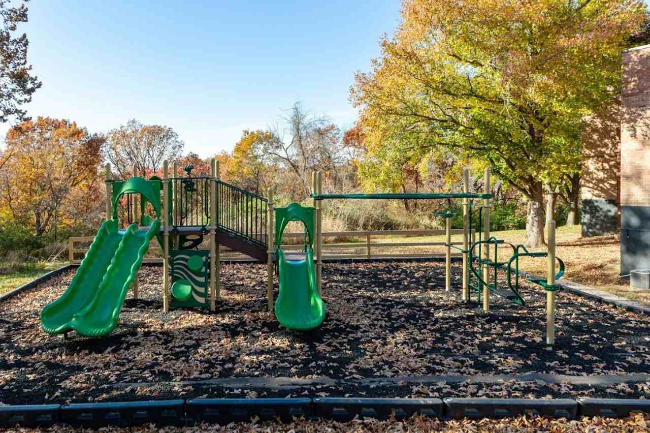 The Linden - Photo 4 of 50