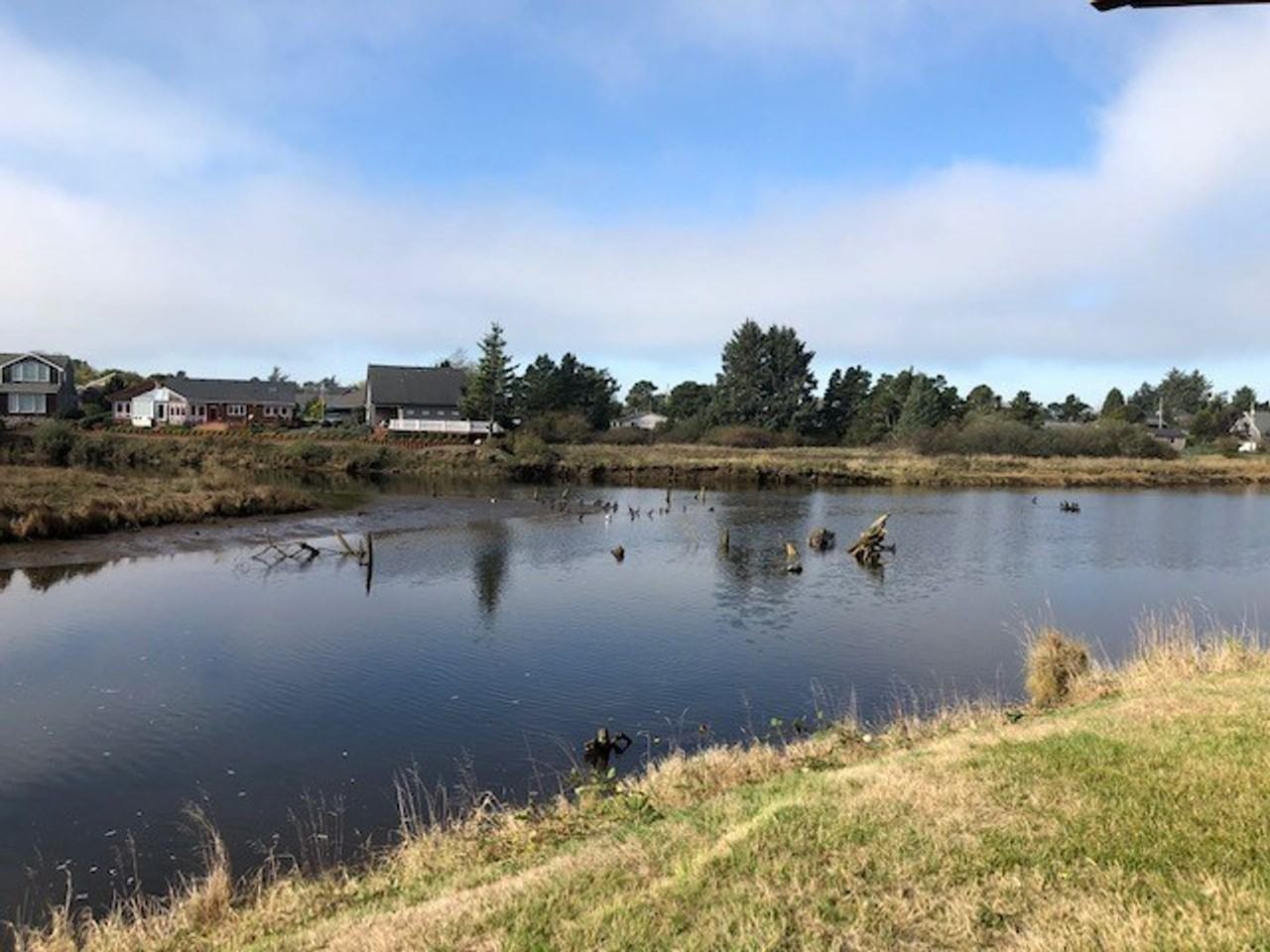 1108 S Holladay Dr #14 - Photo 7 of 34