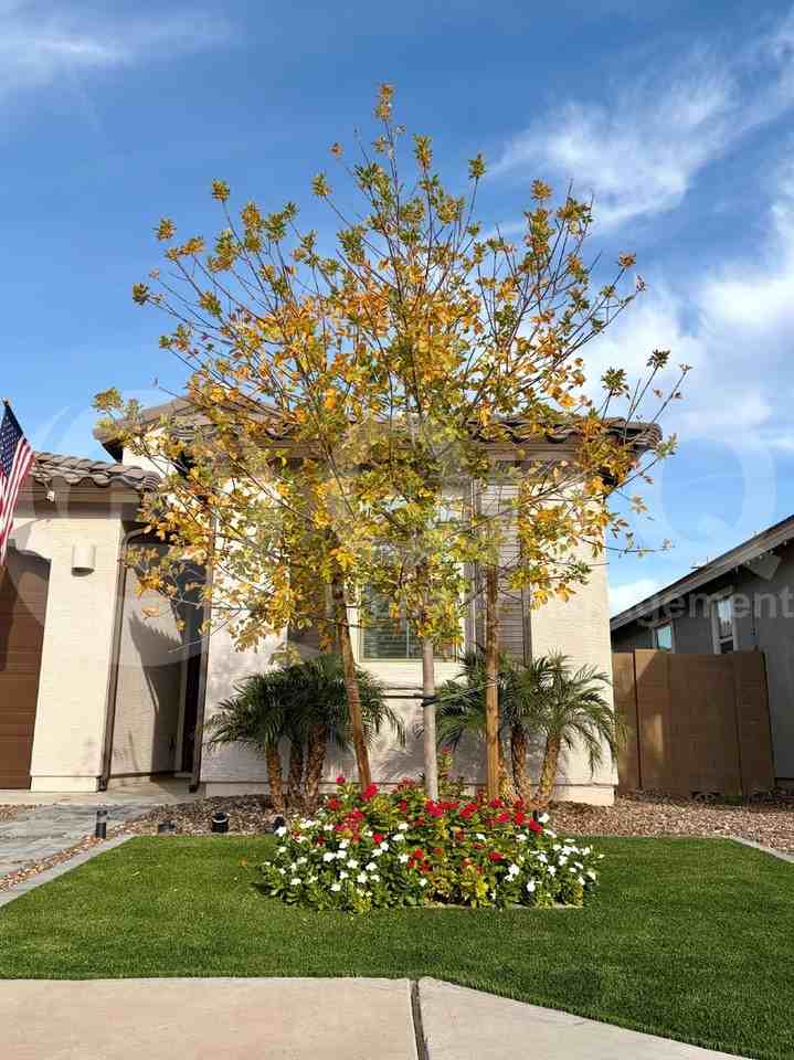 3538 E Ridley Rd - Photo 4 of 28