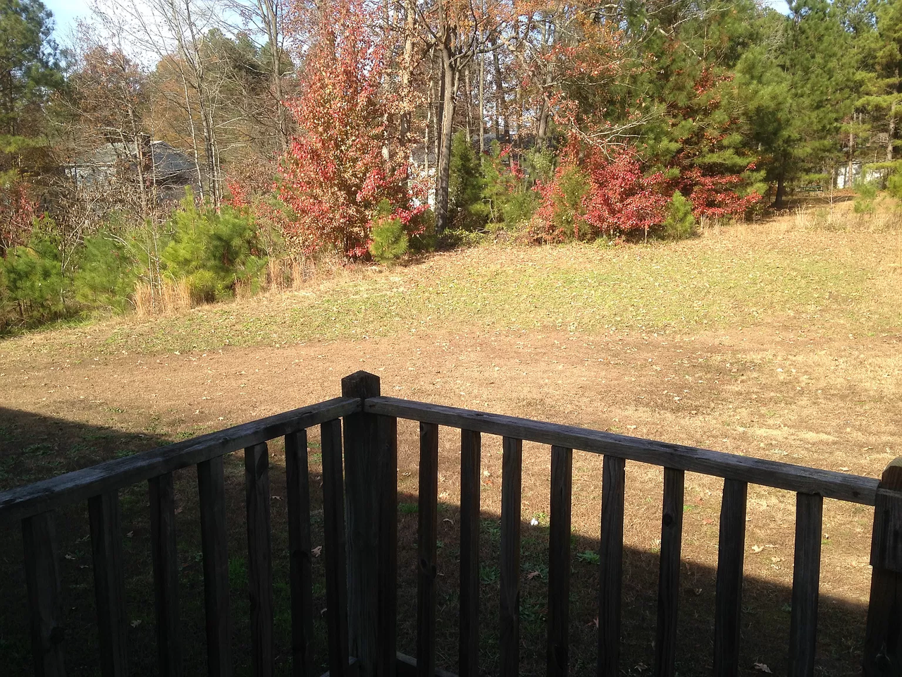 5321 Hadrian Dr #15035131 - Photo 6 of 29