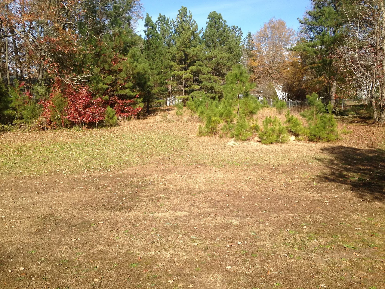 5321 Hadrian Dr #15035131 - Photo 3 of 29