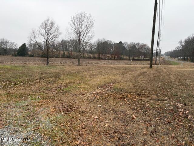 2681 Johnston Rd - Photo 2 of 12