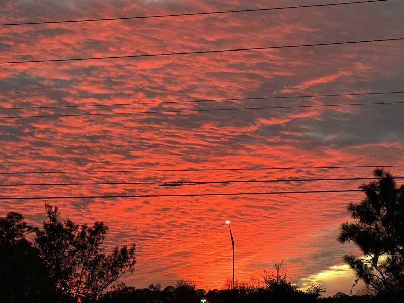 818 N Central Ave - Photo 6 of 6