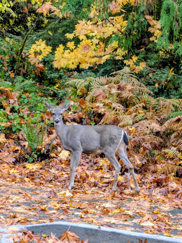 99 Sunset Pl - Photo 3 of 11