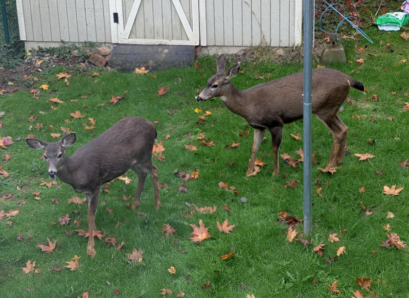 99 Sunset Pl - Photo 6 of 11