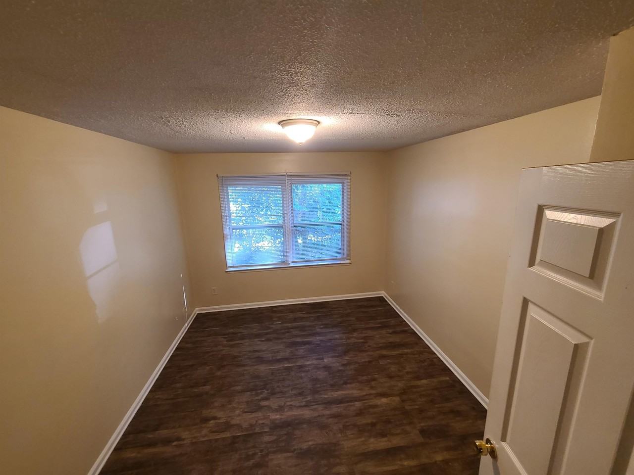 Springview Charlotte - Photo 6 of 9