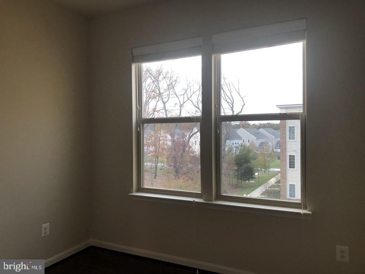 22904 Bollinger Ter - Photo 5 of 19