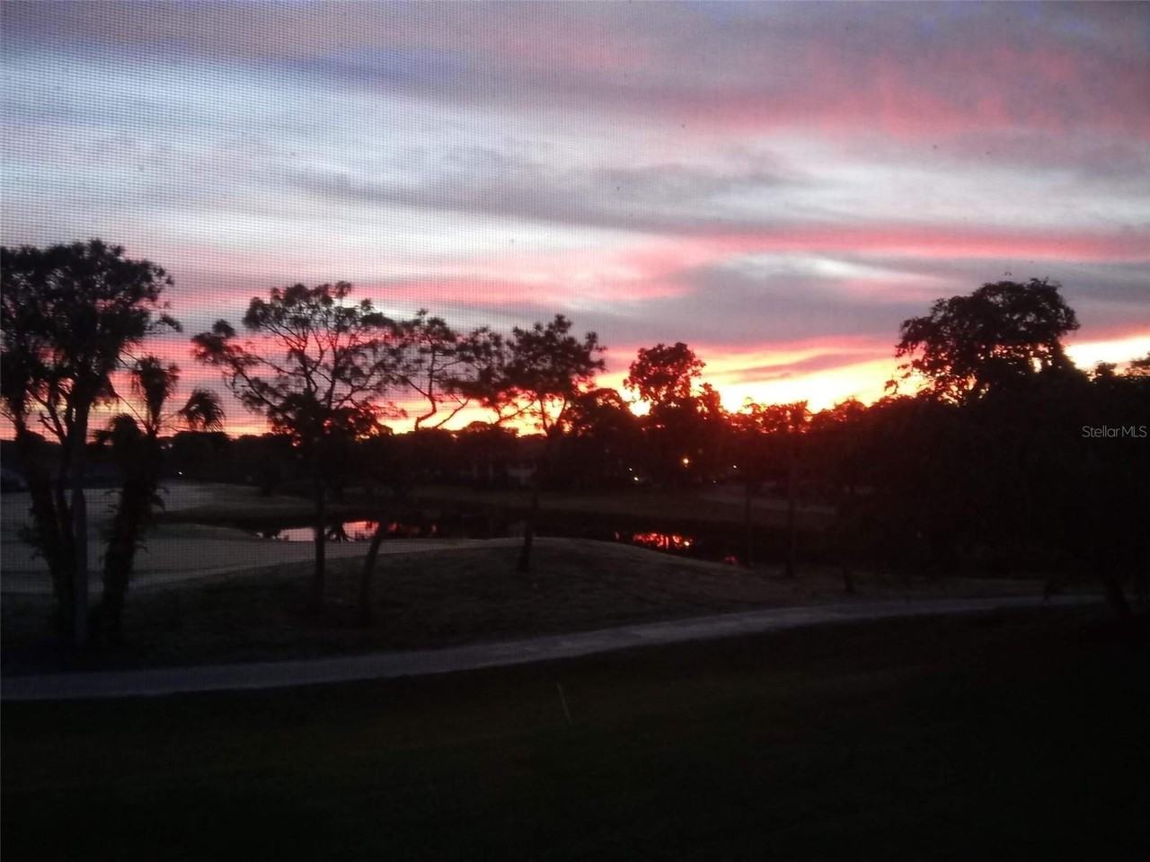 34235 Rockwood Cv #52 - Photo 2 of 25