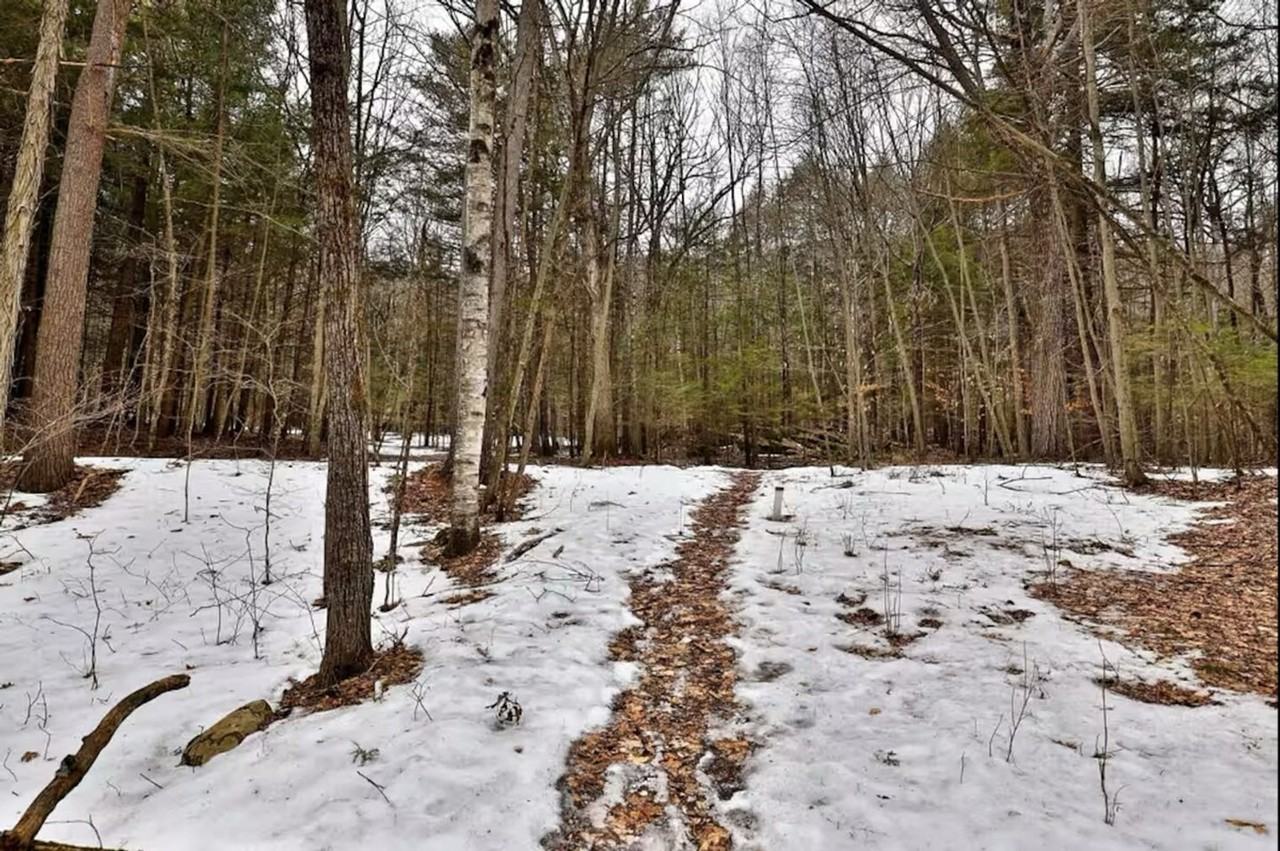 4155 Lake Shore Dr #1376008P - Photo 7 of 27