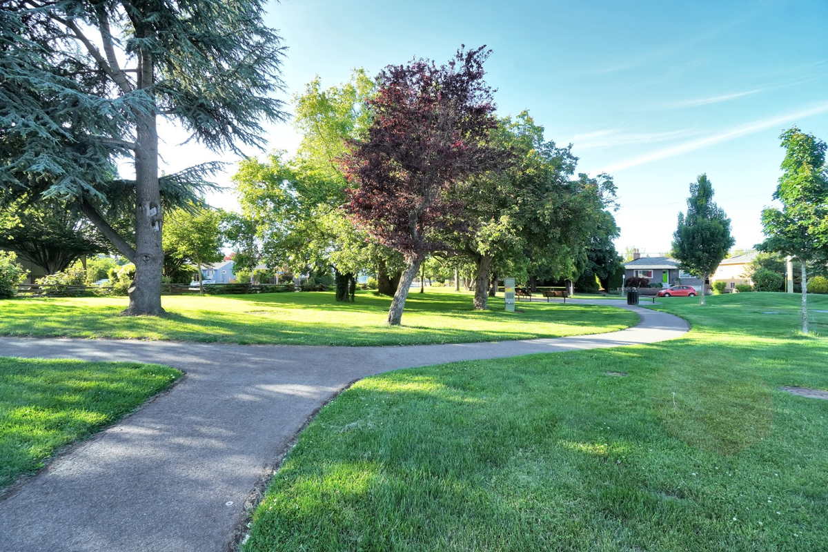 Madrona Manor Apartments - Photo 6 of 18