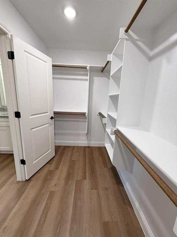 1015 Bluestem Ct - Photo 7 of 11