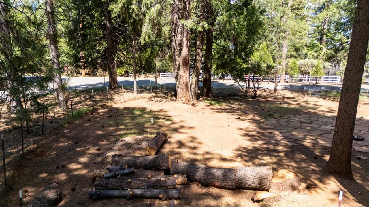 6885 Kings Row Dr #NA - Photo 6 of 19