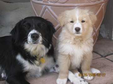 1036 Felspar St #NA - Photo 4 of 5