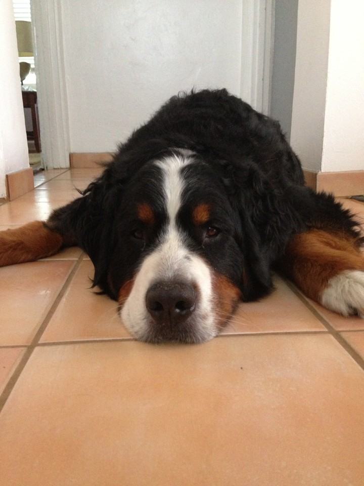 1036 Felspar St #NA - Photo 5 of 5