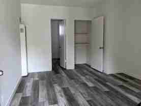 Laurel Cyn 6820 - Photo 1 of 1