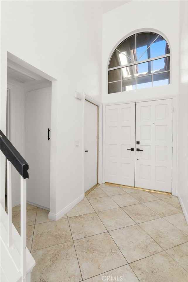 4 Daffodil - Photo 5 of 31