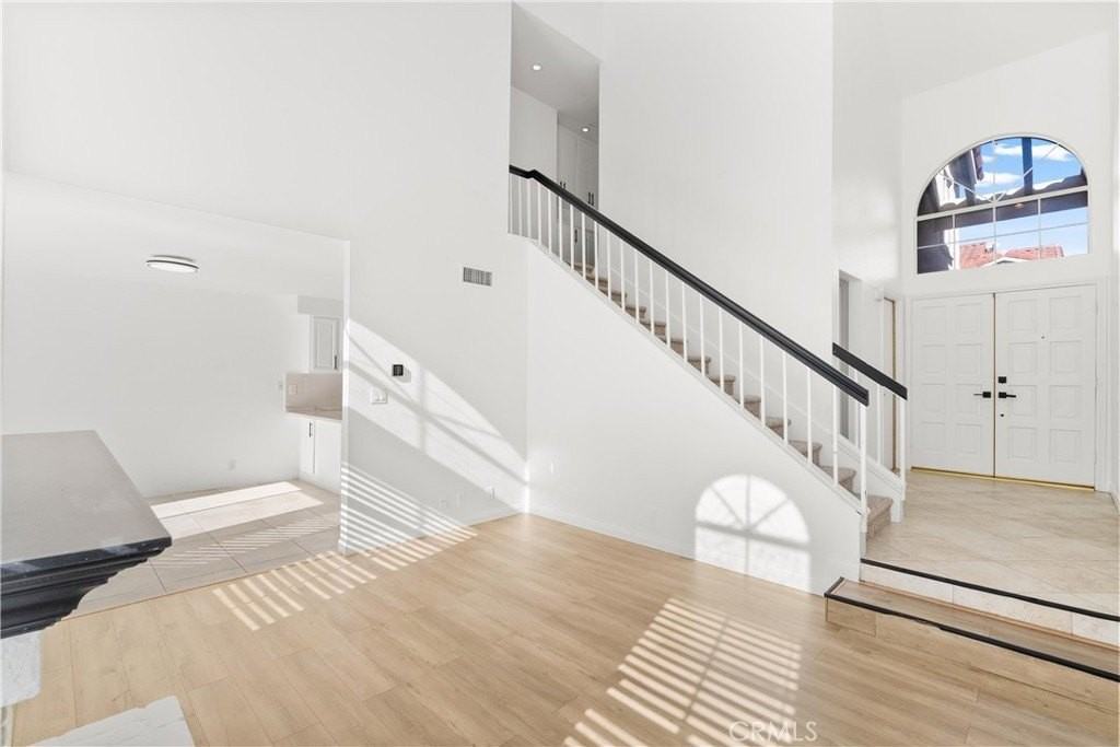 4 Daffodil - Photo 6 of 31