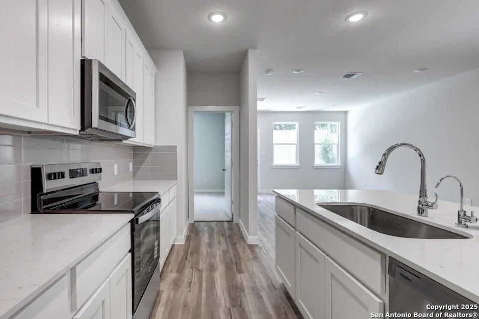 10523 Rosemont Pass - Photo 4 of 13