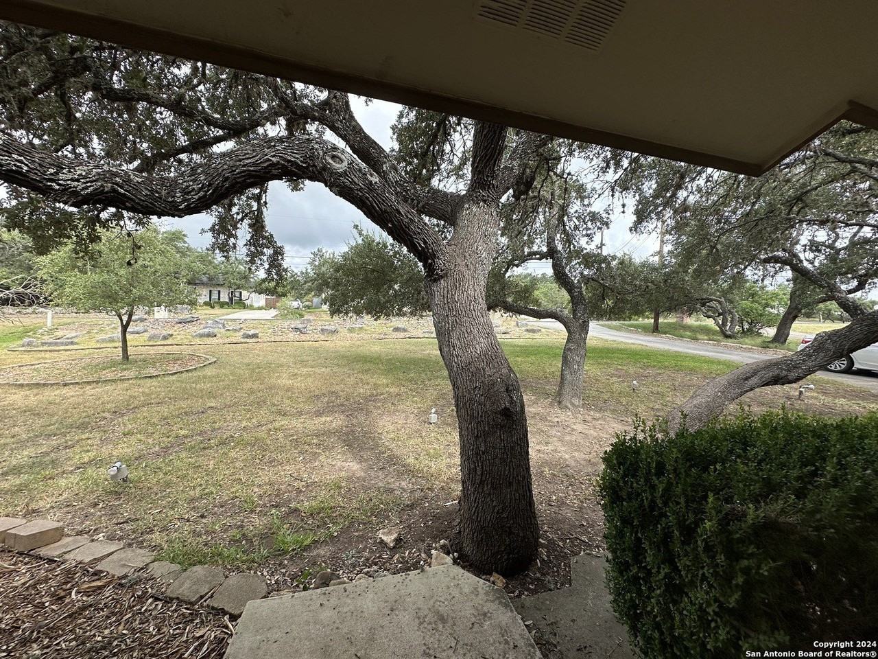 26218 Dancing Bear - Photo 3 of 23