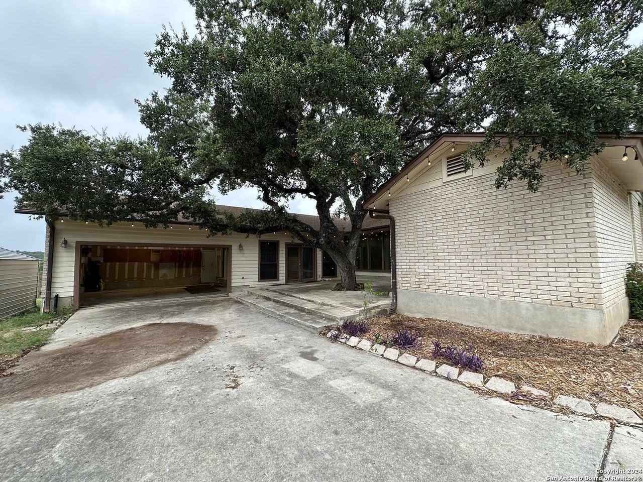 26218 Dancing Bear - Photo 4 of 23