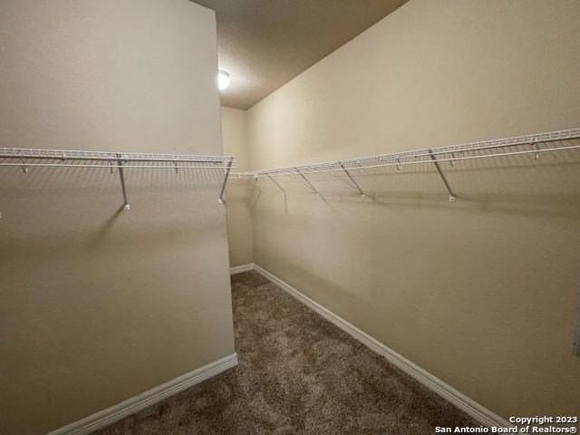 12310 Coal Mine Rise - Photo 7 of 20