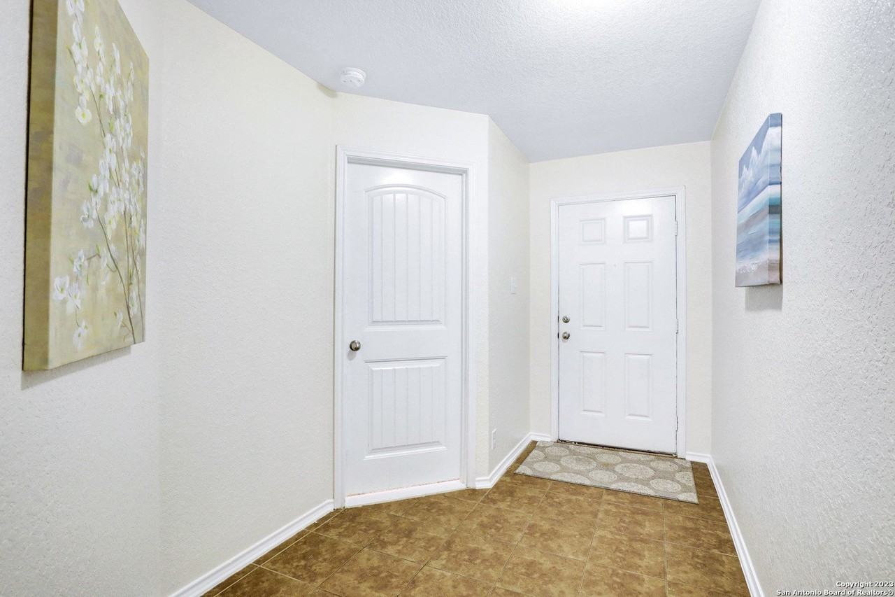 446 Eastern Phoebe - Photo 2 of 50