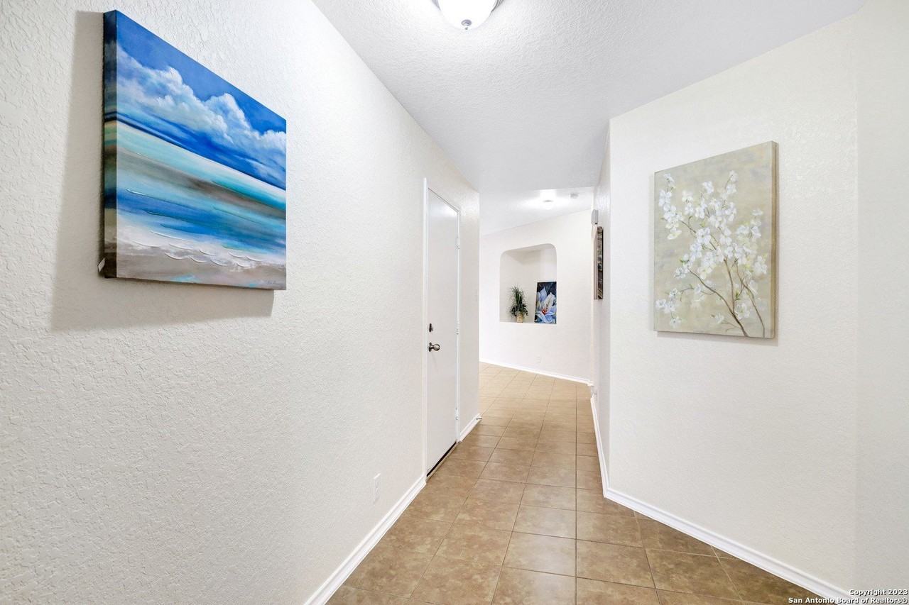 446 Eastern Phoebe - Photo 3 of 50