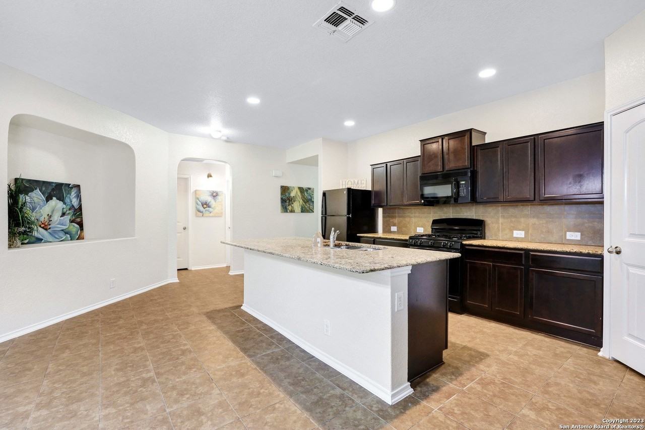 446 Eastern Phoebe - Photo 6 of 50