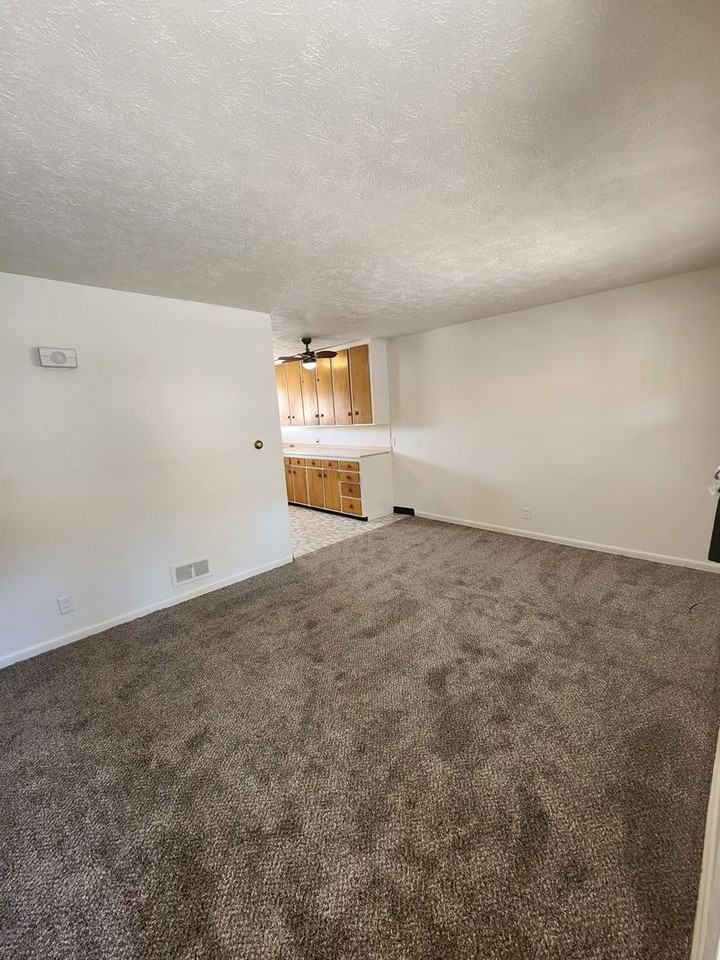 Nick - Photo 3 of 15