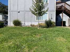 featured image of 495 Ridgecrest Ct