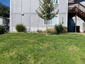 Rid495 1-4 - Photo 1 of 1