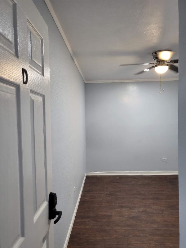 3325 Tampa St - Photo 7 of 14