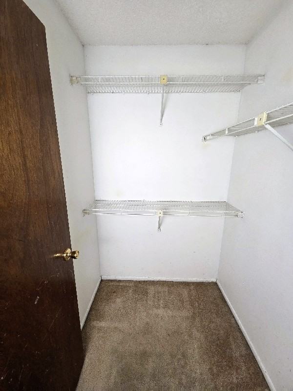 7239 Sky Ct - Photo 7 of 13