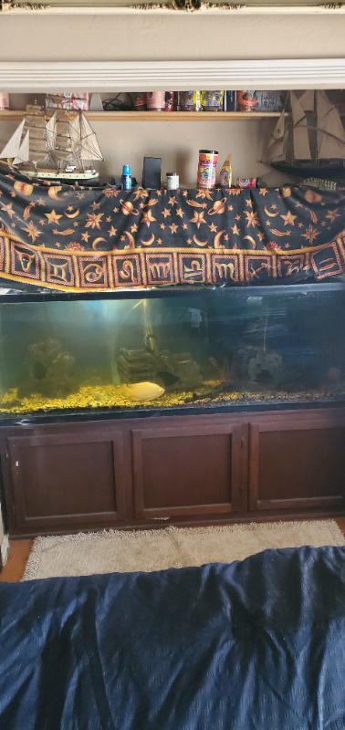 1640 Baywood Dr - Photo 7 of 14