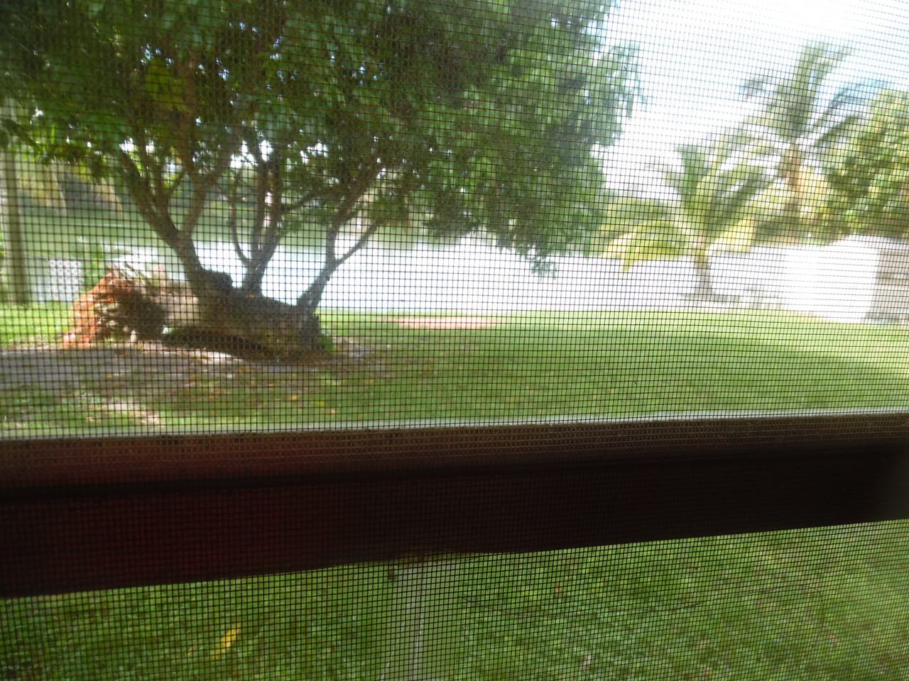 1900 Ne 157th Ter #NA - Photo 4 of 16