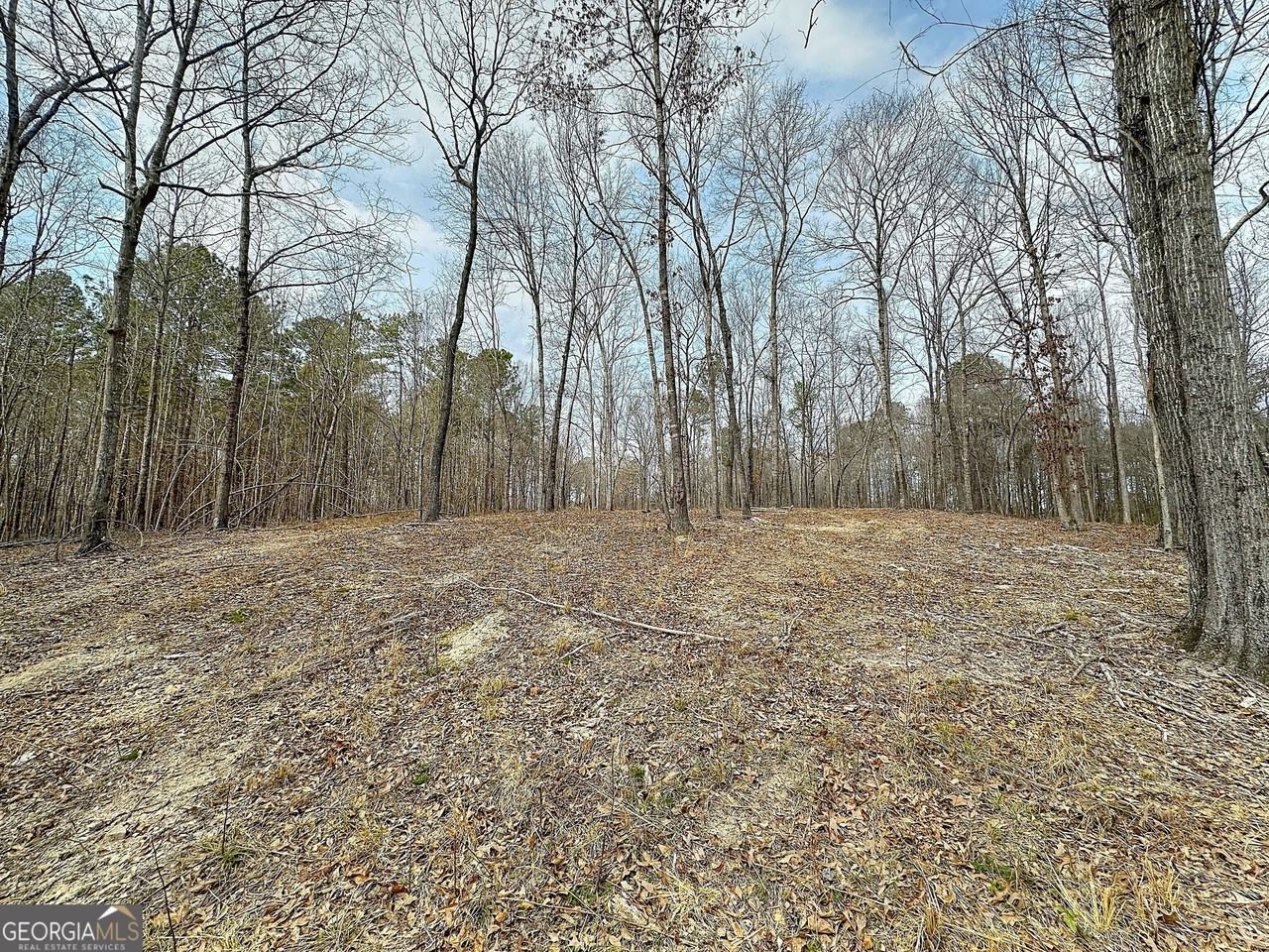 3900 Greenville Rd - Photo 2 of 12