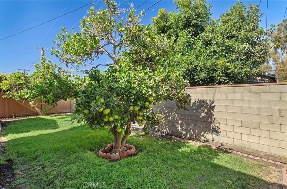 12111 Hammack St - Photo 7 of 28