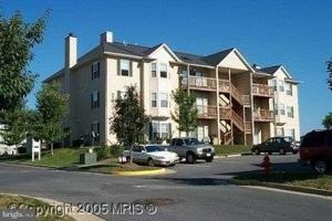 featured image of 115 Brookland Ter Apt 8 #8