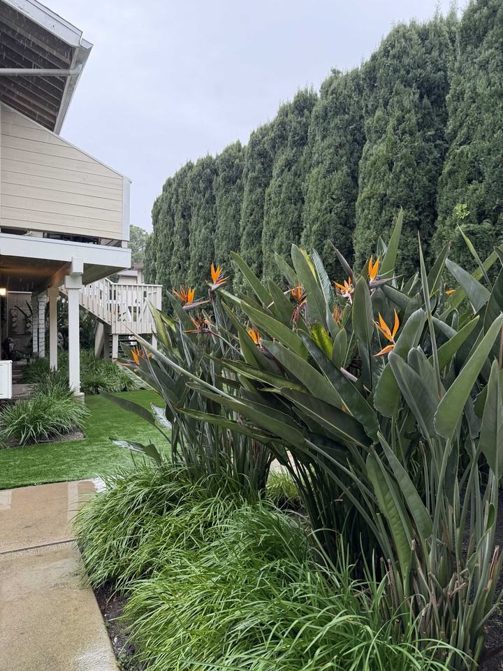 369 Avocado St #C - Photo 7 of 7