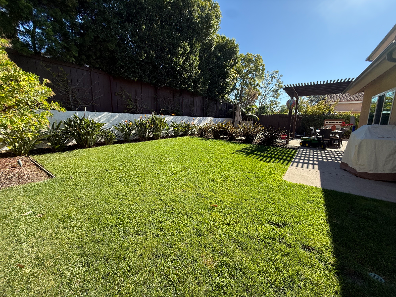 459 Jolina Way - Photo 6 of 15