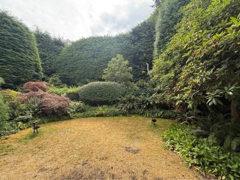 810 Burley Drive #1 - Photo 4 of 35