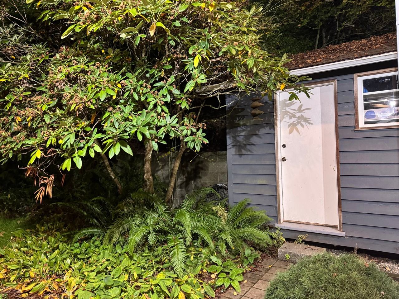 810 Burley Drive #1 - Photo 7 of 35