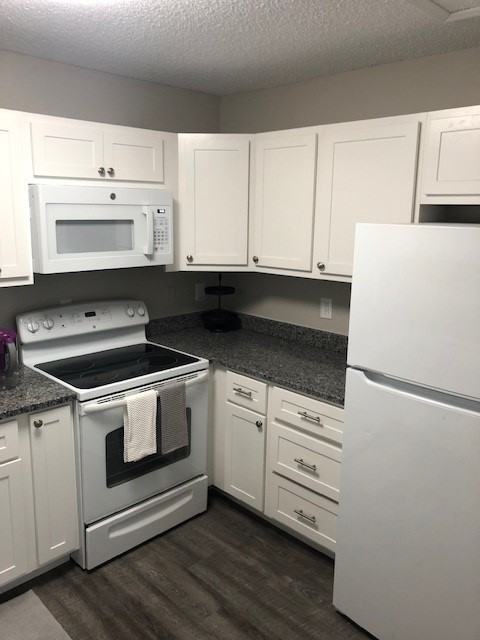 1733 Redbird Cv - Photo 3 of 13