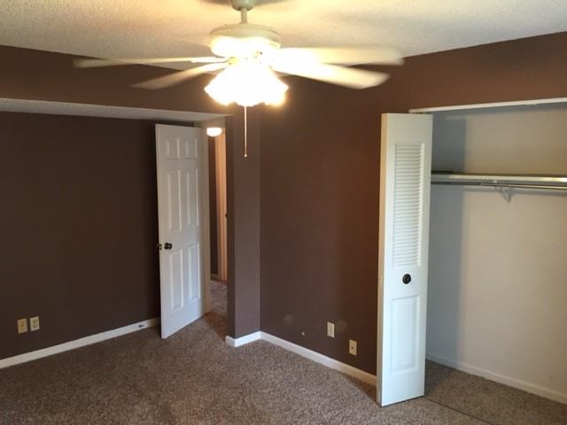 1733 Redbird Cv - Photo 6 of 13