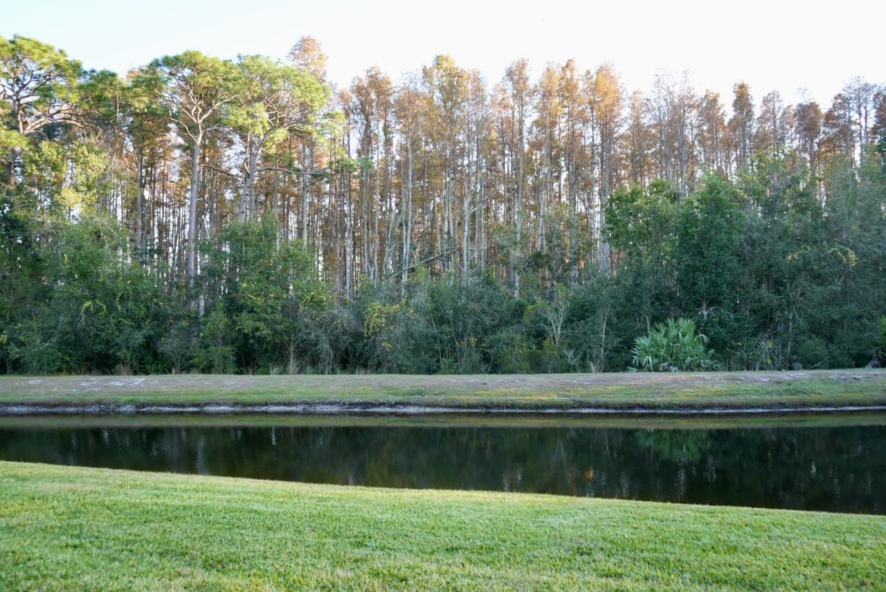 8716 Terracina Lake Dr #8716 - Photo 7 of 32