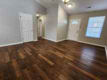 Goldfinch - Photo 1 of 1