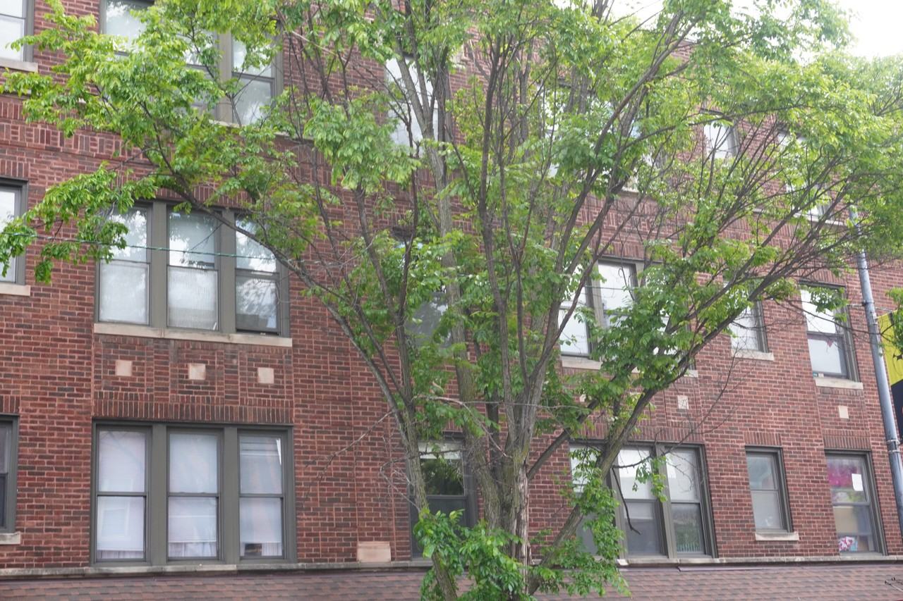 3154 W Belle Plaine Ave #3S - Photo 2 of 2