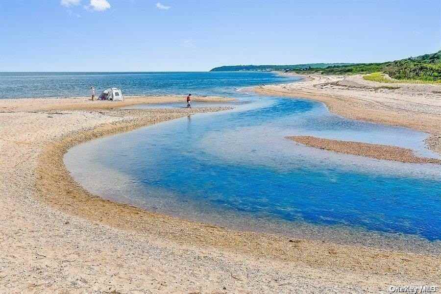 1685 Peconic Ln - Photo 2 of 23